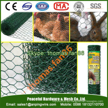 PVC Poultry Netting / malla de pollo / malla de alambre hexagonal